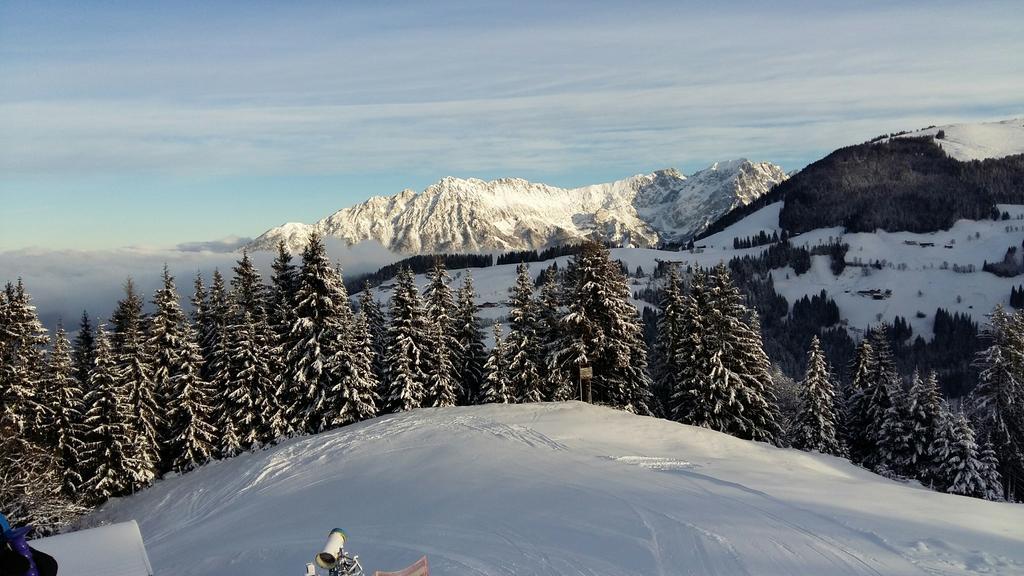 Apartments Scheffau Scheffau am Wilden Kaiser Luaran gambar